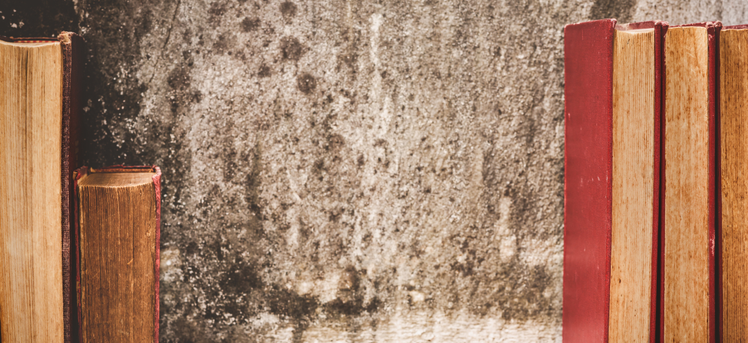 plíseň a knihy